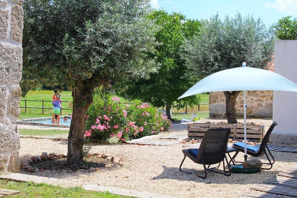 塞洛里科·达贝拉Quinta Vale Da Prata别墅 外观 照片