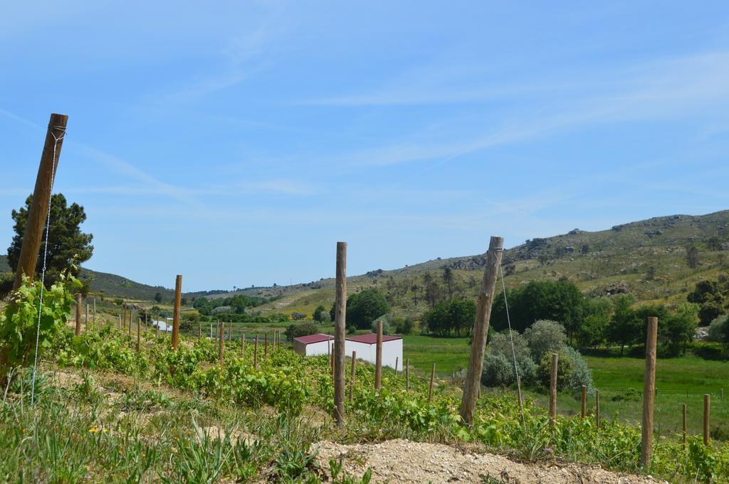 塞洛里科·达贝拉Quinta Vale Da Prata别墅 外观 照片