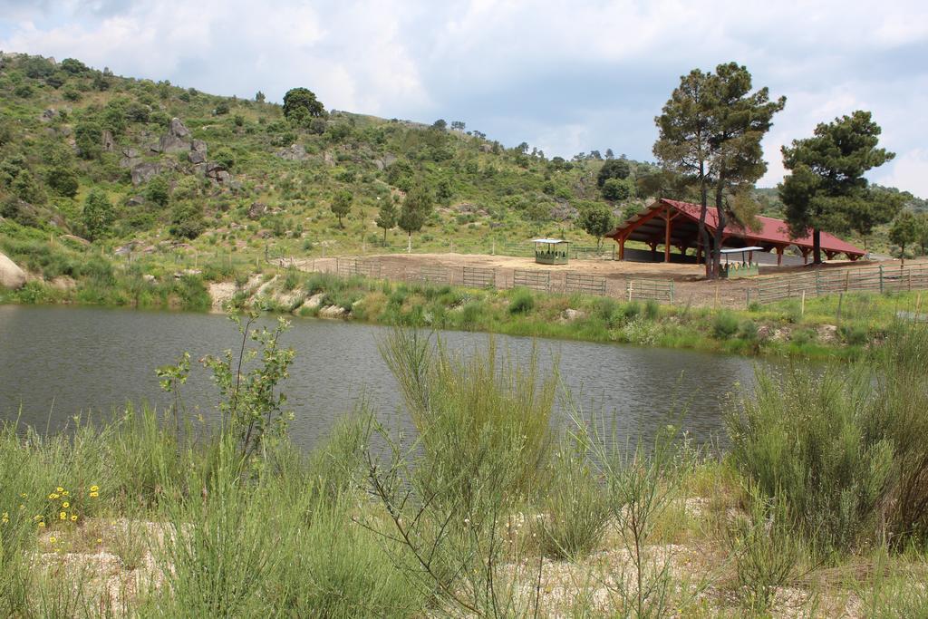 塞洛里科·达贝拉Quinta Vale Da Prata别墅 外观 照片