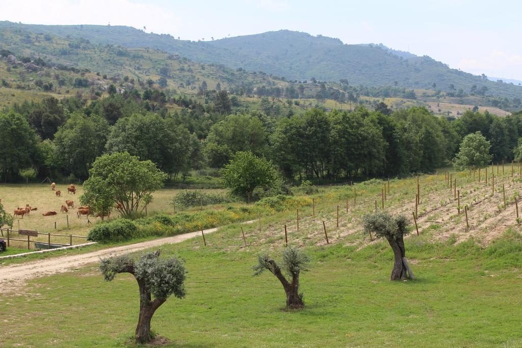 塞洛里科·达贝拉Quinta Vale Da Prata别墅 外观 照片