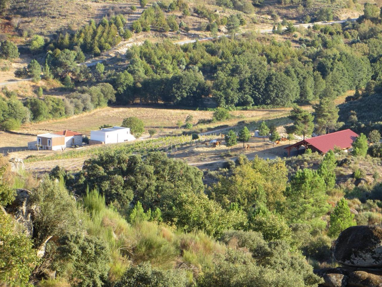 塞洛里科·达贝拉Quinta Vale Da Prata别墅 外观 照片